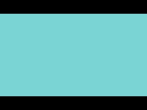 ¿Cómo viajar seguro con tus mascotas? - video from Ayvens