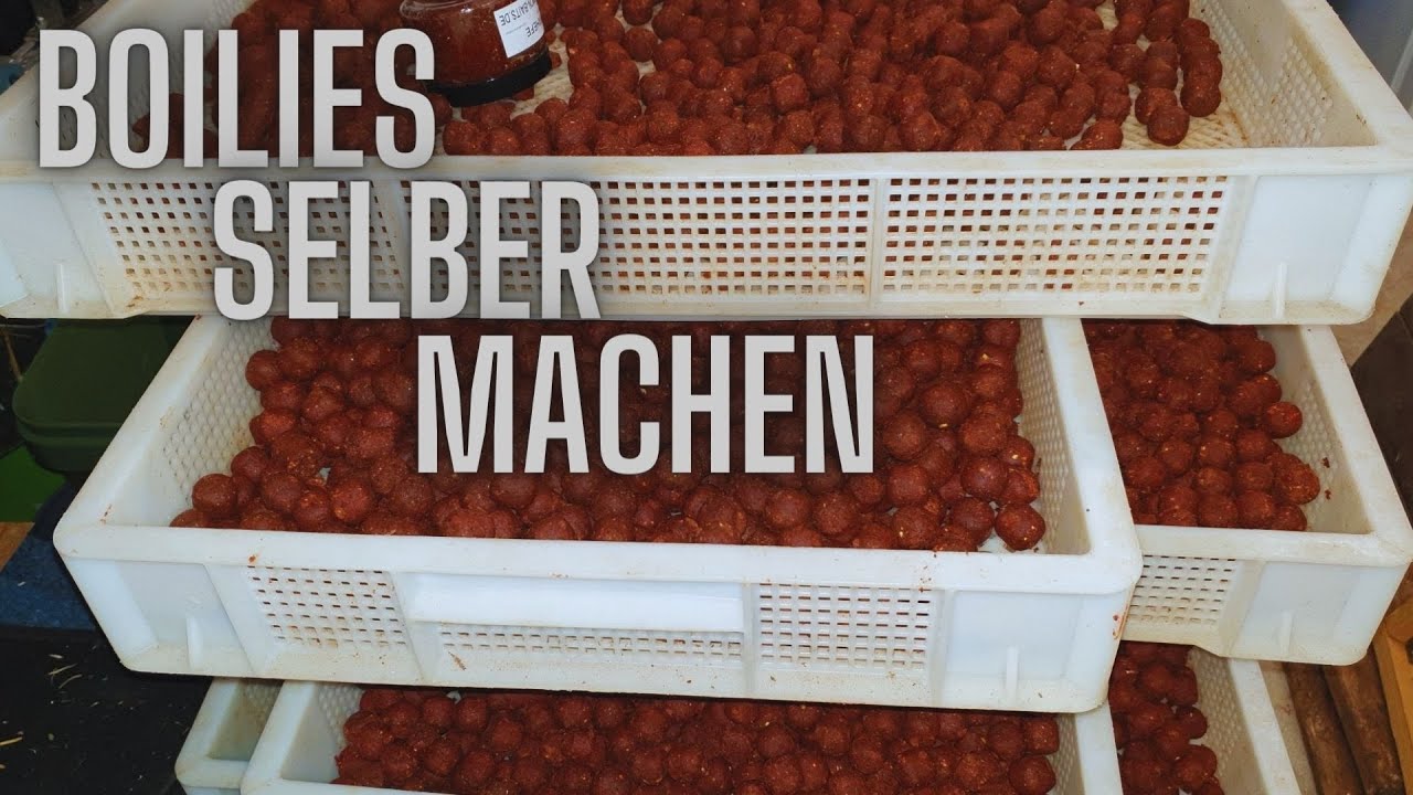 Boilies selber machen  - Tandoori Gewürz - LECKER SCHMECKER