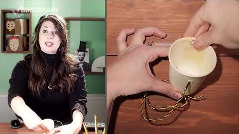 Robot Petting Zoo Lesson 4