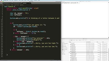 Java Control 13: Infinite Loops