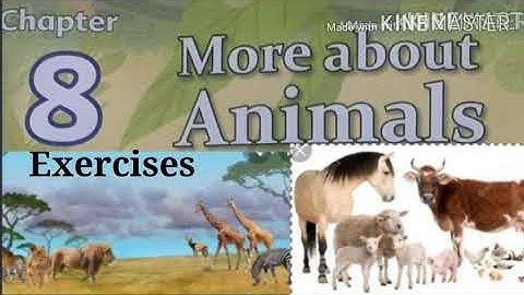 E.V.S- Class- 2 - Ch-8 More About Animals ( Exercises) Priti Kumari