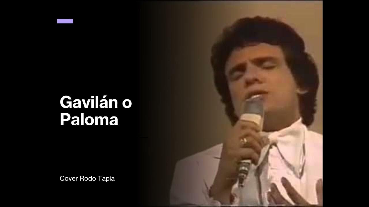 Gavilán o PalomaJosé JoséCover Rodo Tapia YouTube