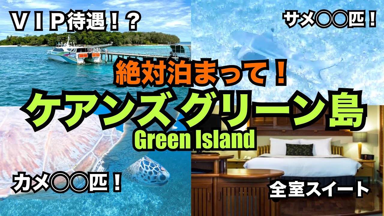 【海中映像あり】オーストラリア🇦🇺グリーン島編🐠🏝️