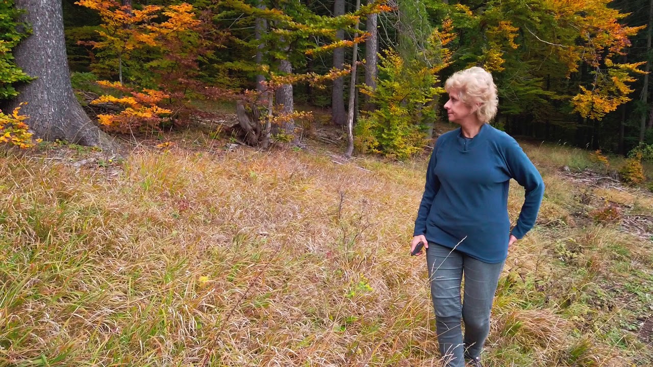 Trebostovo 24 10 2020