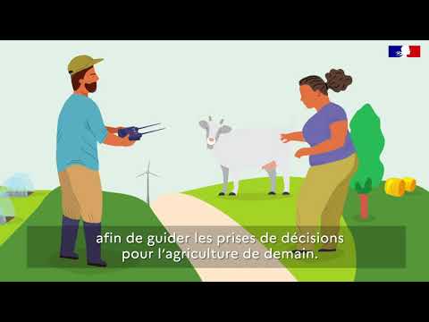 Animation - Le recensement agricole 2020 expliqué en 30 secondes !