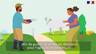 Animation - Le recensement agricole 2020 expliqué en 30 secondes !