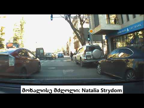 ანტიოკუპაციური ტაქსი - Natalia Strydom