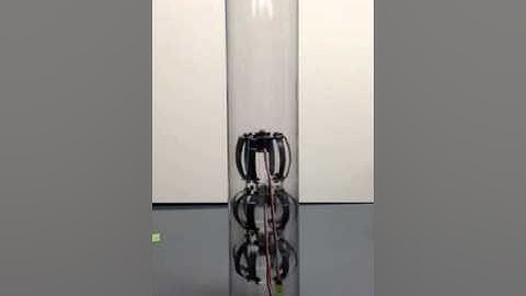 Earthworm Climb 3 Segments