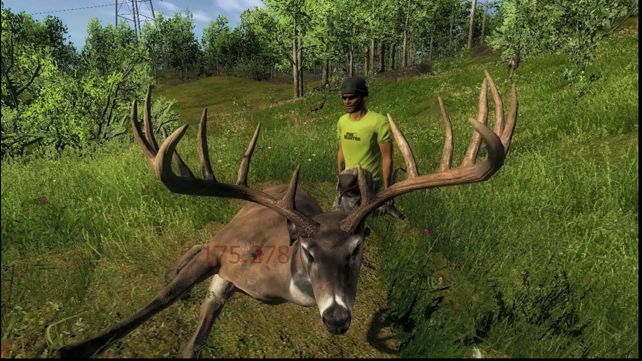 Albino Mule Deer and Trophy Whitetail, Javan5221 The Hunter