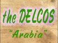 The delcos arabia