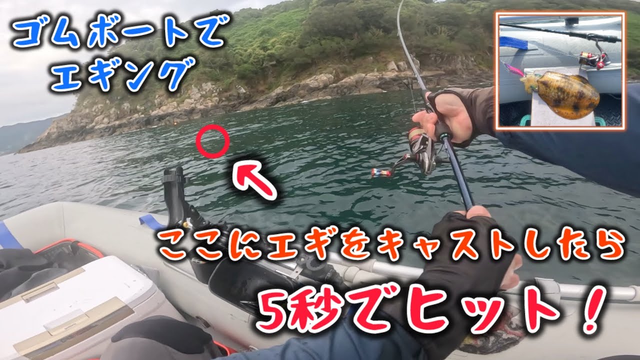 エギング】ゴムボートで少し沖に出ればアオリイカは沢山います！2馬力 