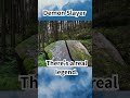 How realistic are Demon Slayer stories?