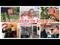 Vlog-Dia de la directa!/Tome la desicion final/Mis plantas ya tienen   frutos/Castro a mis mascotas?