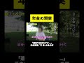 【年金】「遺族年金はわずか...」元自営業、71歳、女性の声 #年金 #老後 #貯金