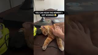 You can hear the moment I got worried