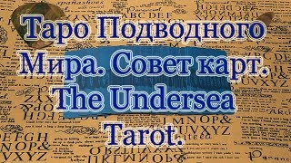 Обзор Обзор