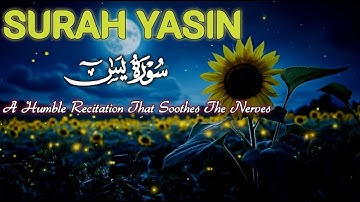 سورة يس كاملة - القارئ مختار الحاج - تلاوة خاشعة