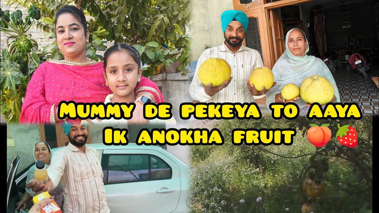Mummy de pekeya to aaya ik anokha fruit 🍓🍑 ਮੰਮੀ ਦੇ ਪੇਕਿਆਂ ਤੋਂ ਆਇਆ ਇੱਕ ਅਨੋਖਾ ਫਰੂਟ Deepkamal vlogs😎😎