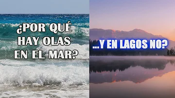 ¿Qué son las olas y cuál es su importancia?