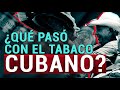 El tabaco cubano es el mejor del mundo