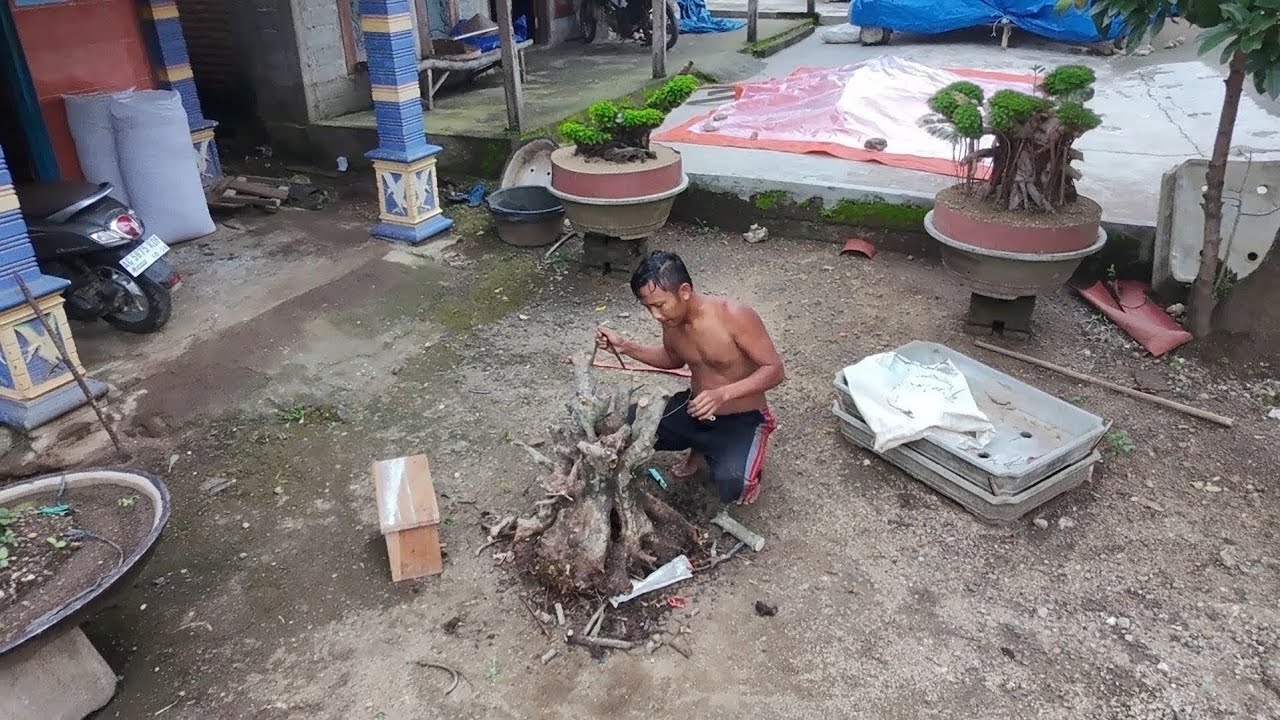 Program Bonsai Dongkelan | Drone Views Suasana Desa | Aktifitas Warga Menjelang Waktu Berbuka Puasa