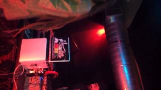 Uncle stoner@Soul Medic show THIS BOY DO THE REGGA