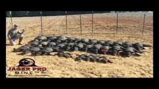 Wild Hog Trapping Four Legged Enemy Part 2 Jager Pro