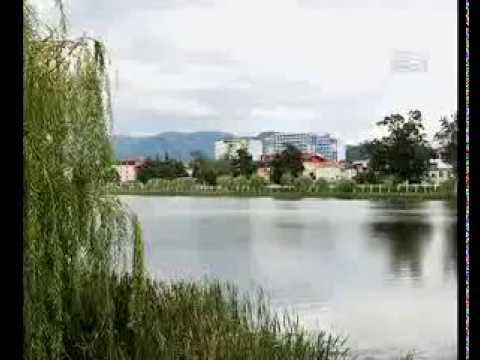 ნურიგელის ტბაში რამდენჯერმე დახოცილი თევზები წყლის ზედაპირზე ამოტივტივდა,