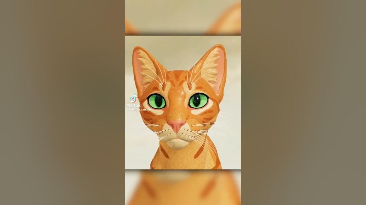 warrior cats tricks｜TikTok Search