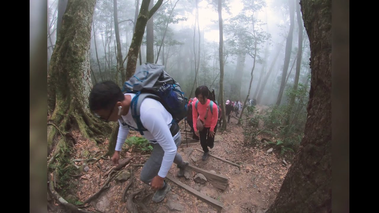 鳶嘴山登山步道 縮圖