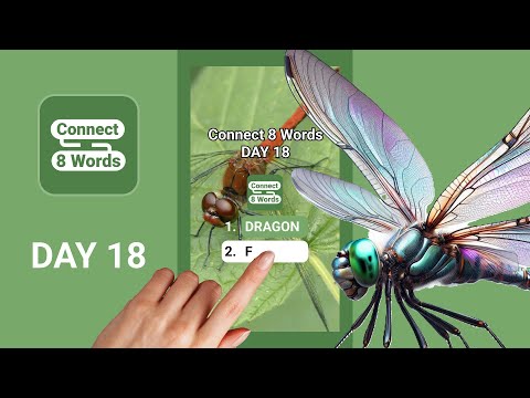 Play Connect 8 Words - Day 18: Can You Connect the Word Dragon?