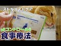 ストルバイト結石対策に食事療法！茶トラ猫マロンに「ロイヤルカナン 食事療法食 pHコントロール0」を与えてみました！食べてくれるかな？[4K]