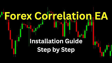 A Step by Step Guide To install Forex Correlation EA on Real Account | Forex Robot MT4
