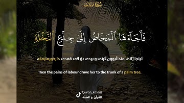 تلاوة خاشعة القارئ حسام المنشداوي : سورة مریم (18-25) #قرآن #قران_كريم #quran #سورة_مريم