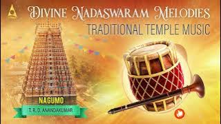 Latest Mangala Vadhyam | Nadaswaram Music |Classical Instrumental | Mangala Vadyam Instrumental Song