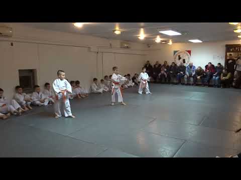 Klub realnog aikidoa i ju-jutsu Novi Sad Polaganje Februar 2023 I i II grupa dece 9/15