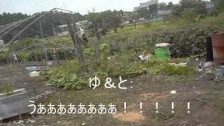 ネタ動画