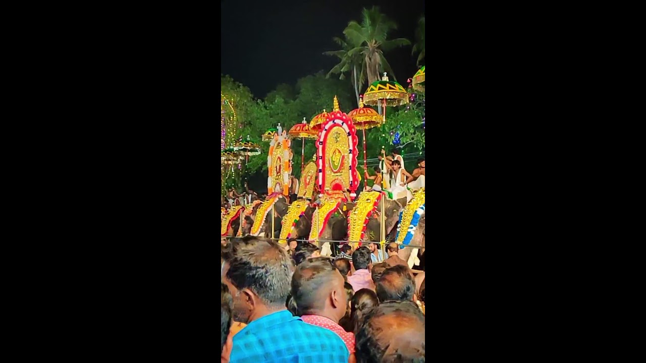 Kerala Temple Festival 👑🦣 Elephant Festival 🙏❤️ Elephants in Kerala Temple Festival Culture 😍🙏💖