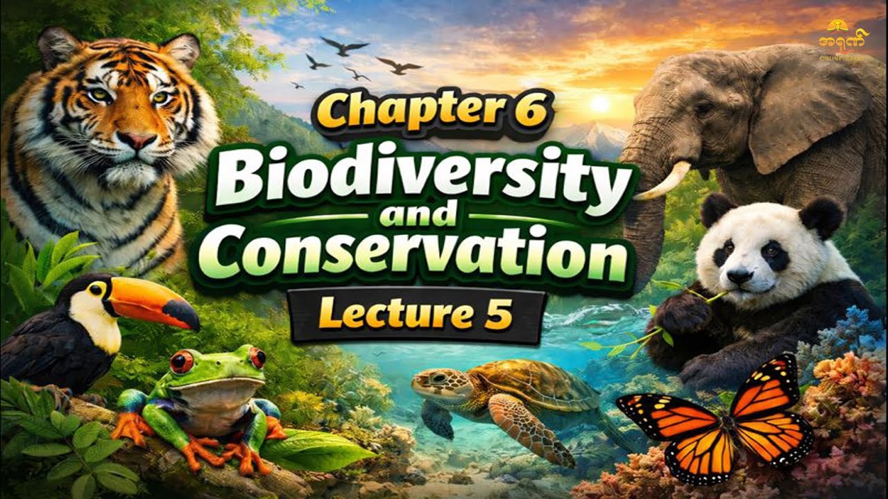 Grade 12 Biology Chapter 6 Lecture 5 - YouTube