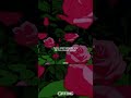 NAJIM - ME OLVIDÉ 💔