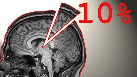 Ten Percent of Your Brain - PsyFile