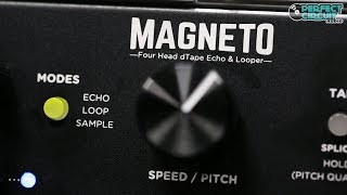 Strymon Magneto Eurorack 4 Head Tape Delay & Spring Reverb