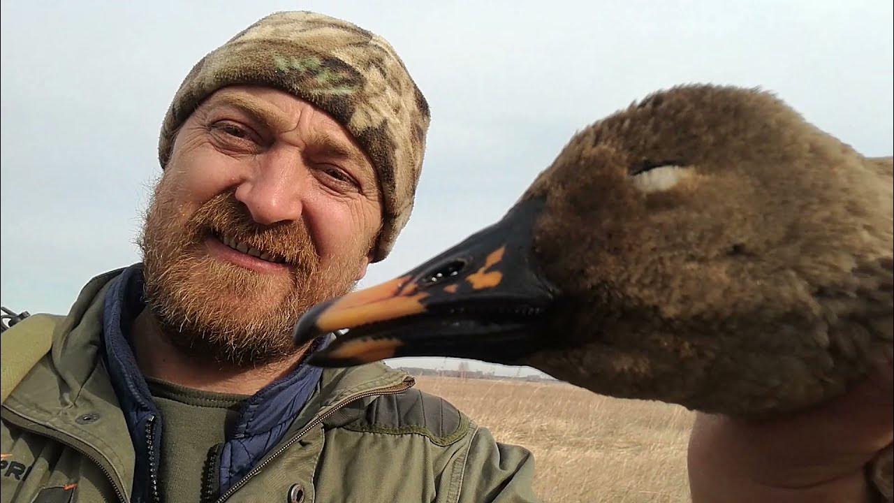 Косой охотник. Бронированный гусь. Косой охотник. Веселая охота. Косой охотник.