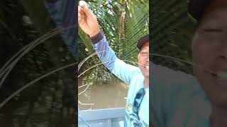 Mancing udang galah #mancing #jangkauanluas #shorts #vidioshort