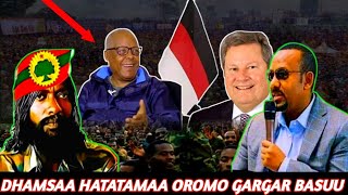 Dhamsaa Hatattama Loltonii Motumma WBO Wajiin Dhabanaa Ja,an Injifanoo WBO.Oromoo Gargar Qoduu Marii