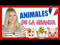 Aprende FRANCÉS FACIL🐷 ANIMALES DE GRANJA🐰