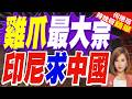 印尼一邊對華大砍鎳配額 又試圖推銷雞爪｜雞爪最大宗 印尼求中國｜介文汲.謝寒冰.張延廷深度剖析【何橞瑢辣晚報】精華版 @中天新聞CtiNews
