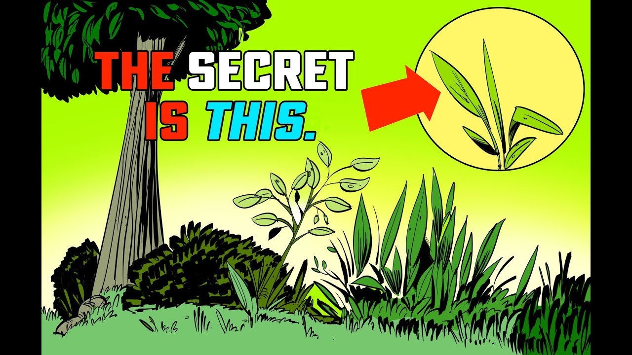 How To Draw Grass Bushes and Trees - Maxresdefault