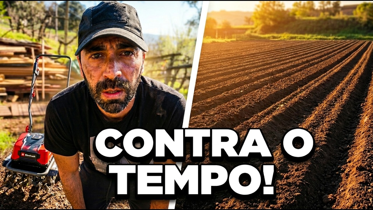 Plantámos TODAS as batatas antes da chuva (o segredo do tempo)