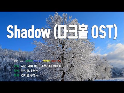 [은성 반주기] Shadow(다크홀OST) - 시연.다미(DREAMCATCHER)